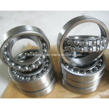 SKF 2211ektn9 Выравнивающие шарикоподшипники 2202, 2203, 2204, 2205, 2206 Ektn9